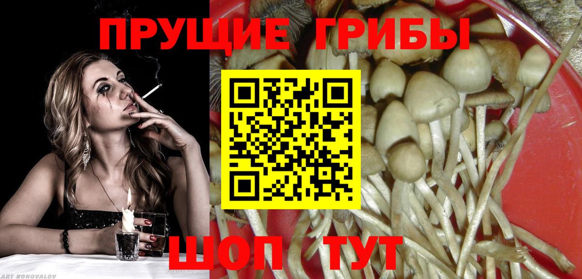 Кстово  Галлюциногенные грибы мухоморы  Вход с VPN  Галлюциногенные грибы Magic Shrooms 